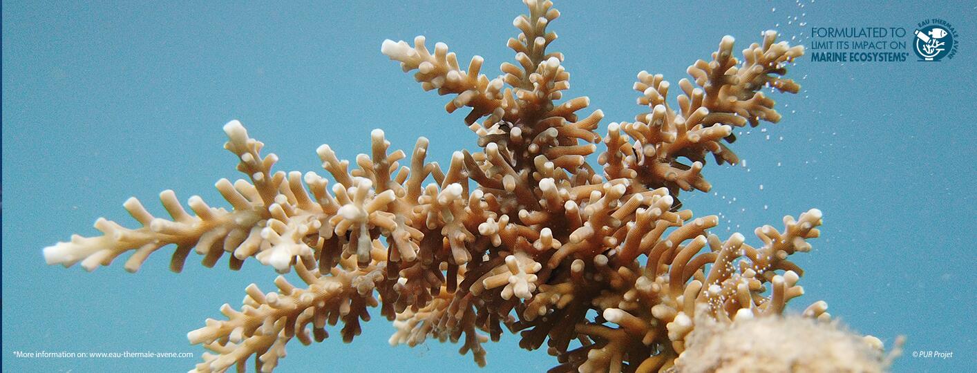 av_land page internet-solaire-1440x540px _o31281-v1